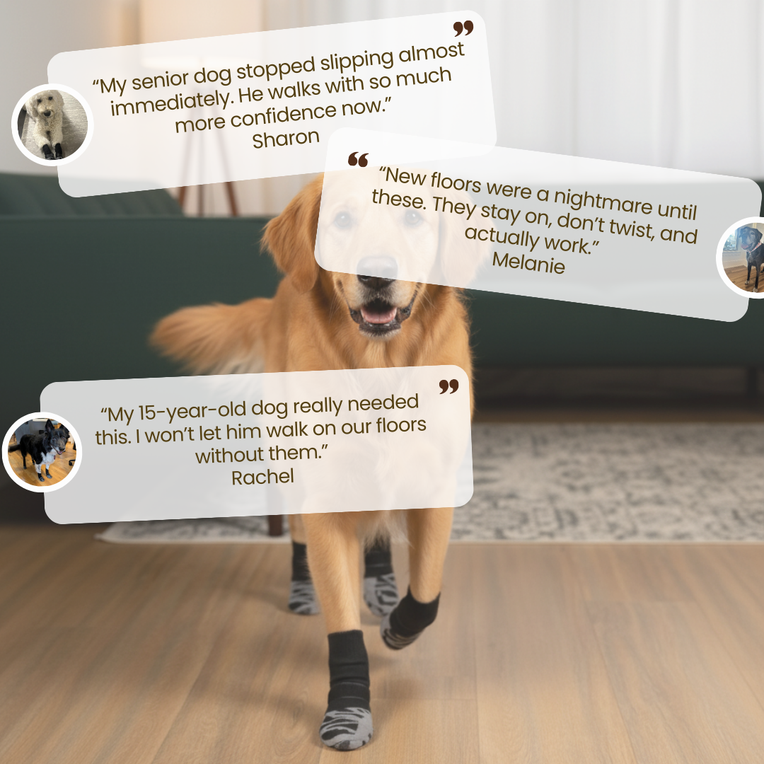 Non-Slip Dog Socks